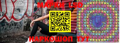 spice Бийск