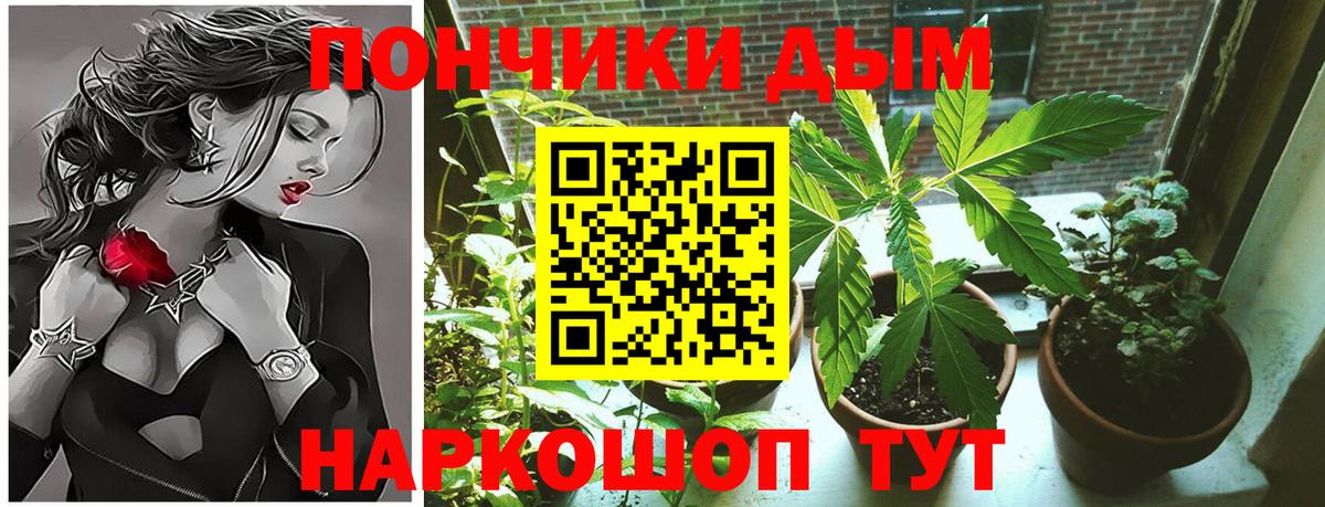 МАРИХУАНА семена  МАРИХУАНА гибрид  Канабис VHQ  Баксан  Вход с VPN 